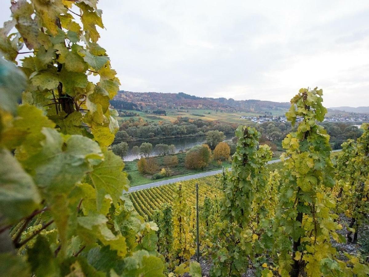 Ferienwohnung-Vinothek Keifer Kinheim Екстер'єр фото